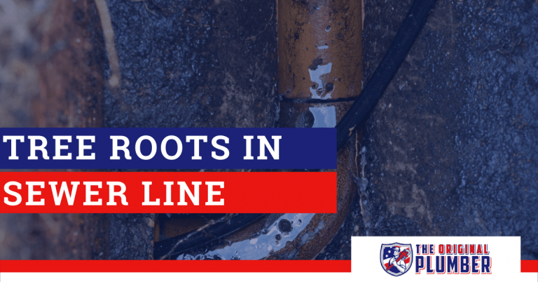 sewer-line-tree-roots-how-to-get-tree-roots-out-of-sewer-line-the