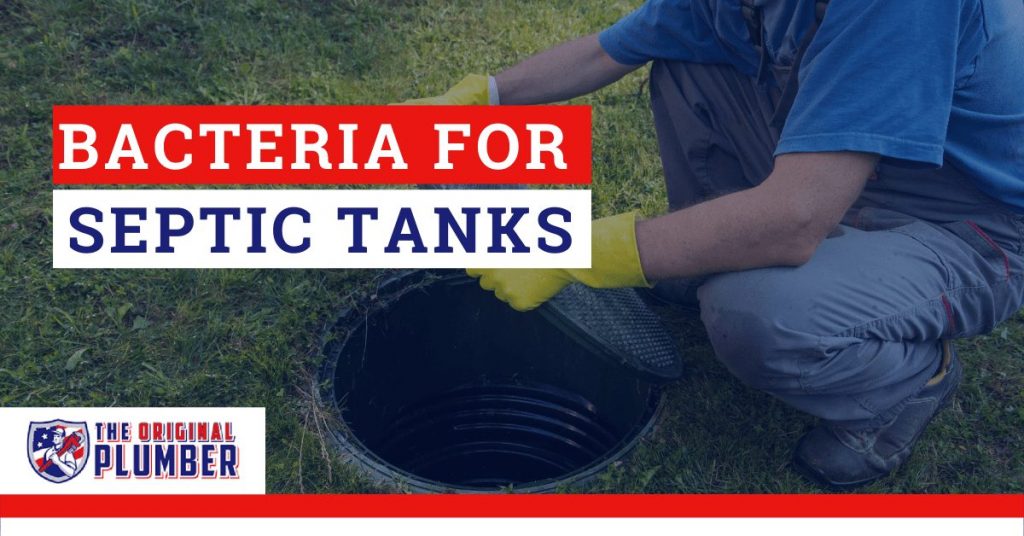 Do You Need Bacteria for Septic Tank Systems?